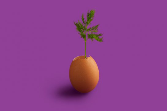 Creatief zijn kun je leren - 10 tips
