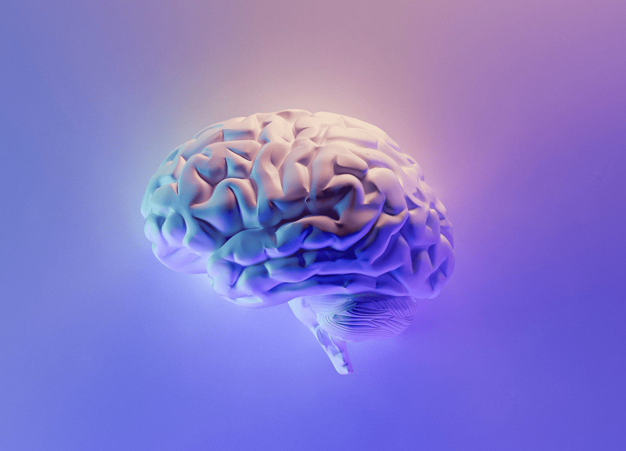 Je brein en een growth mindset